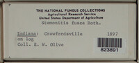 Image Associated With the Occurence